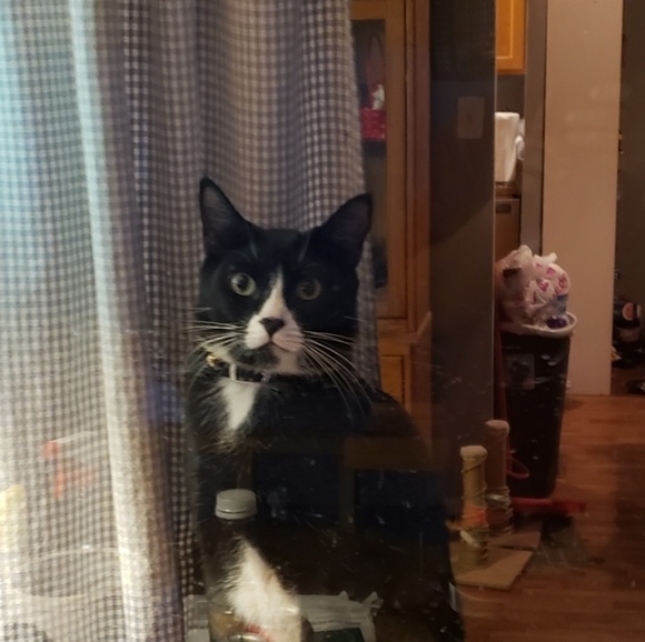 Meet your Posher, Lee - Picture 1 of 1